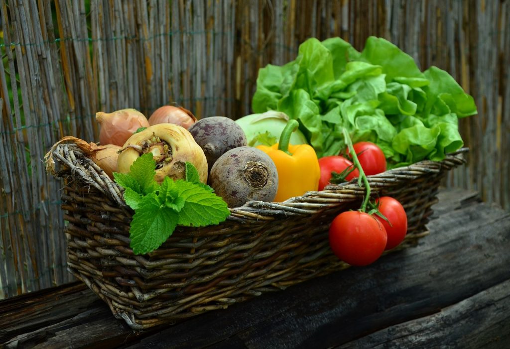 Quais são os alimentos vegetais mais nutritivos para incluir na dieta?